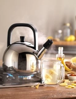 Zwilling Plus Fluitketel Rond 1,6 Liter Rvs -Keukengerei Winkel zwilling plus fluitketel rond 1 5 liter rvs